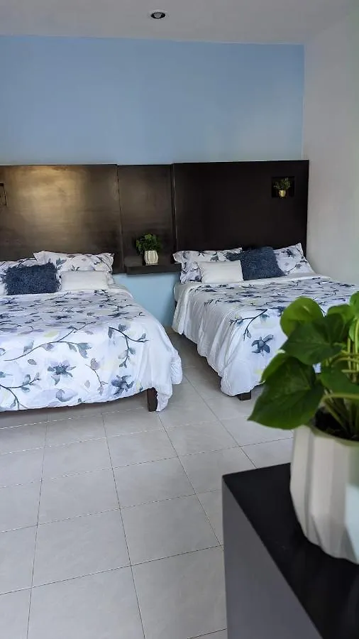 Hotel Playa Suites Playa del Carmen